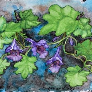 “Ground Ivy” Watercolor Notecard